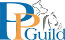 Arlo: Border Collie